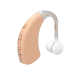Multichannel Digital Hearing Aid